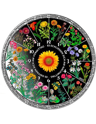 HOROLOGIUM FLORAE Blumenuhr, farbig, 3-Oz-Silbermünze, 30 $, Liberia 2024