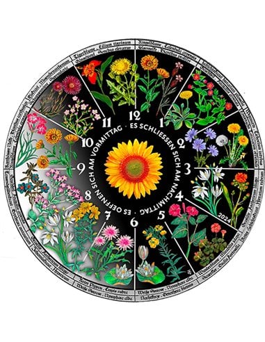 HOROLOGIUM FLORAE Floral Clock Coloured 3 Oz Silver Coin 30$ Liberia 2024