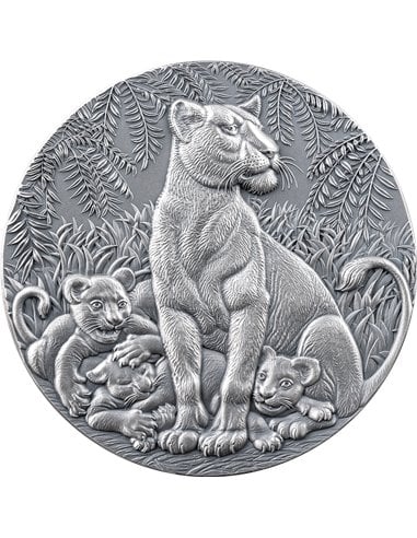 THE GRACE OF LIONESS Circle of Life 2 Oz Silver Coin 2000 Francs Cameroon 2024