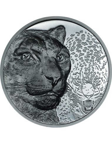 SNOW LEOPARD Wild Mongolia 2 Oz Silver Black Proof Coin 2000 Togrog Mongolia 2024