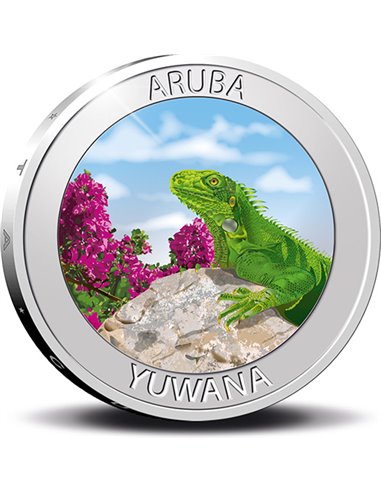 YUWANA Zielona Iguana Srebrna Moneta 5 Florinów Aruba 2021