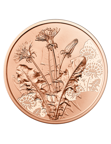 DANDELION Język Kwiatów Miedziana Moneta 10€ Euro Austria 2022