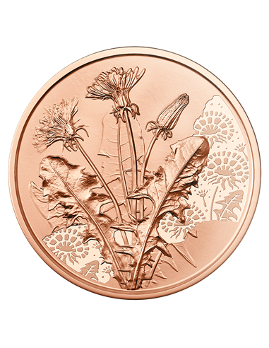 DANDELION Language Of Flowers Copper Coin 10€ Euro Austria 2022