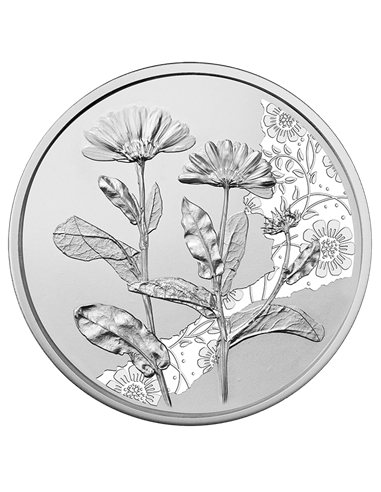 Ringelblume Language Of Flowers Blister ½ Oz Silbermünze 10€ Euro Österreich 2022