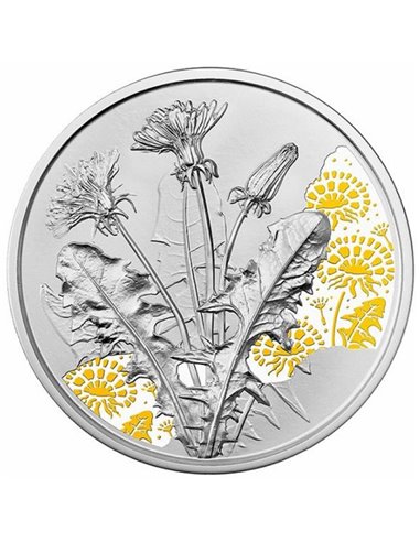DANDELION Język Kwiatów ½ Uncji Srebrna Moneta 10€ Euro Austria 2022