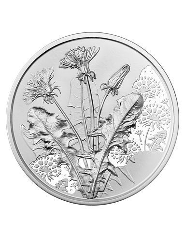 DANDELION Language Of Flowers Blister ½ Oz Silver Coin 10€ Euro Austria 2022