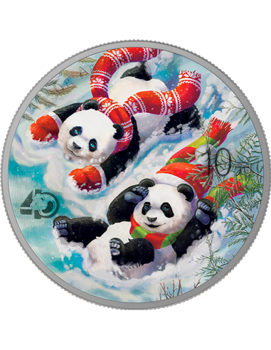 WINTER China Panda Cuatro Estaciones Moneda Plata 10 Yuan China 2022