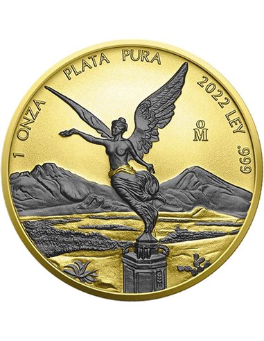 SPACE GOLD EDITION Libertad 1 Oz Silver Coin Mexico 2022