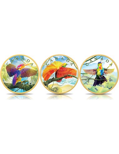 COLOR OF PARADISE Funky Holo Set 3 x 1 Oz Silver Coin 5$ Канада 2022