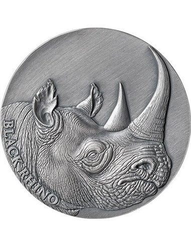 BLACK RHINO Expressions of Wildlife 2 Oz Silver Coin 2000 Francs Cameroon 2023