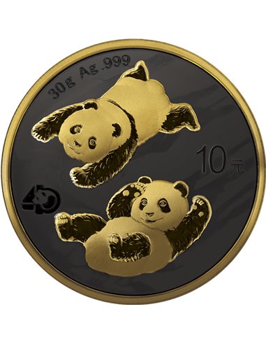 GOLDEN NIGHT Panda Moneda Plata 10 Yuan China 2022