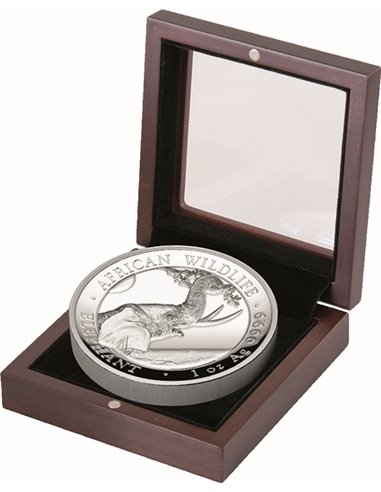 ELEPHANT African Wildlife1 Oz Silver Proof Coin 100 Shillings Somalia 2023