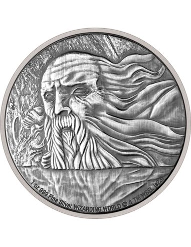 HARRY POTTER POUDLARD Chambre des Secrets 1 Oz Silver Coin 2$ Niue 2023