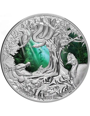 DAINTREE RAINFOREST 5 Oz Moneta Argento 10$ Niue 2022