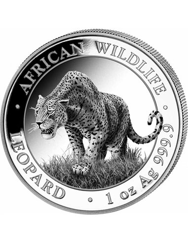 LEOPARD Fauna Africana 1 Oz Moneda Plata Proof 100 Chelines Somalia 2023