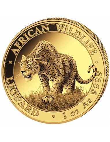 LEOPARD African Wildlife 1 Oz Gold Coin 1000 Shillings Somalia 2023