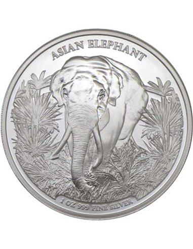 АЗИАТСКИЙ СЛОН 1 унция Серебряная монета 3000 риелей Камбоджа 2023