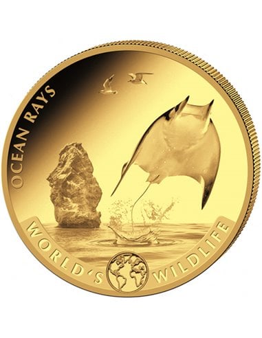 OCEAN RAYS World's Wildlife 1 Oz Gold Coin 100 Francs Congo 2023