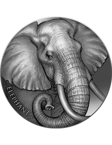 СЛОН Выражения дикой природы 2 унции Серебряная монета 2000 франков Камерун 2023
