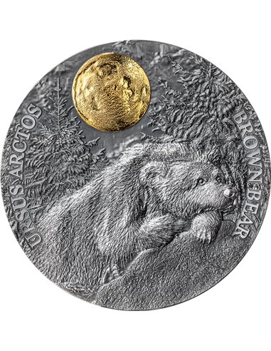 BROWN BEAR Wildlife in the Moonlight Серебряная монета 2 унции 5$ Ниуэ 2023