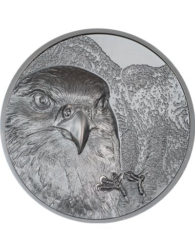 FALCON Wild Mongolia 2 Oz Silver Coin 1000 Togrog Mongolie 2023