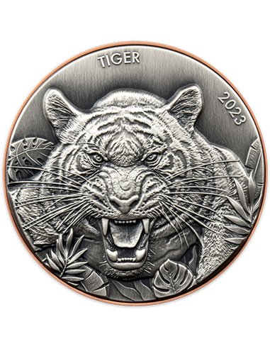 TIGER Double Silver Giant Predators Coin 10 Vatu Vanuatu 2022