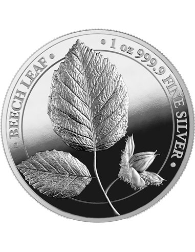 FEUILLE DE HÊTRE Forêt mythique Pièce d'argent de qualité épreuve numismatique de 1 once 5 Mark Germania 2023