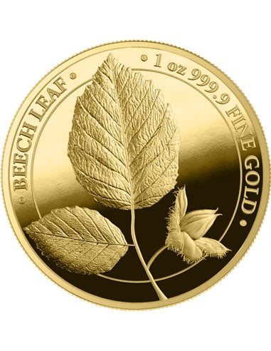 BUCHENBLATT Mythischer Wald 1 Oz Gold Proof Münze 5 Mark Germania 2023
