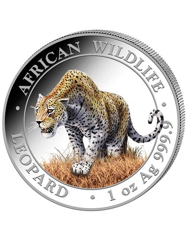 LEOPARD Fauna Africana Coloreada 1 Oz Moneda Plata 100 Shillings Somalia 2023