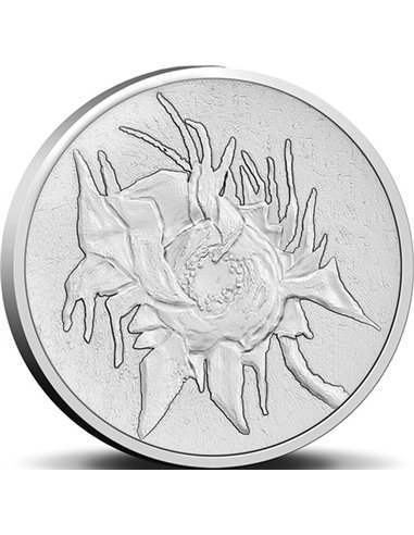 МУЗЕЙ ВАН ГОГА 50 Years Coincard Евро Монета Нидерланды 2023