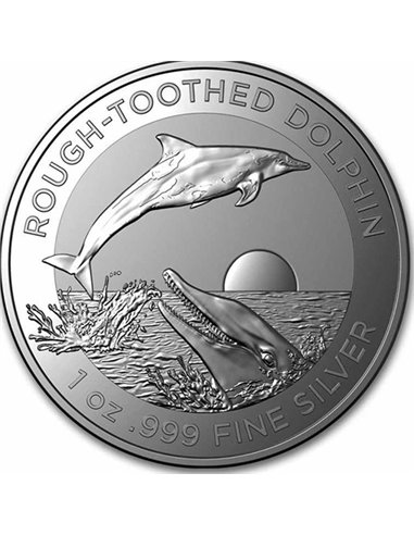 ROUGH-TOOTHED DOLPHIN 1 Oz Silver Coin 1$ Australia 2023