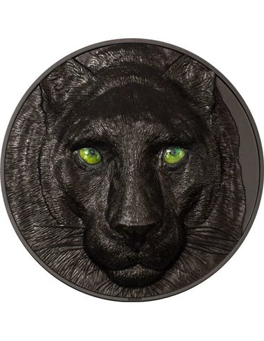 BLACK PANTHER Hunters By Night 5 Oz Silver Coin 20$ Palau 2020